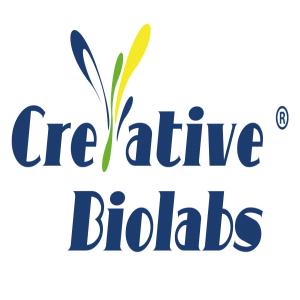 Non-IgG Antibody
